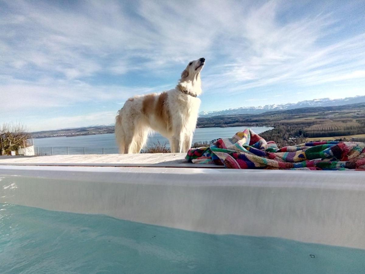 Swiss Borzoi House Panzió Vully-les-Lacs Kültér fotó