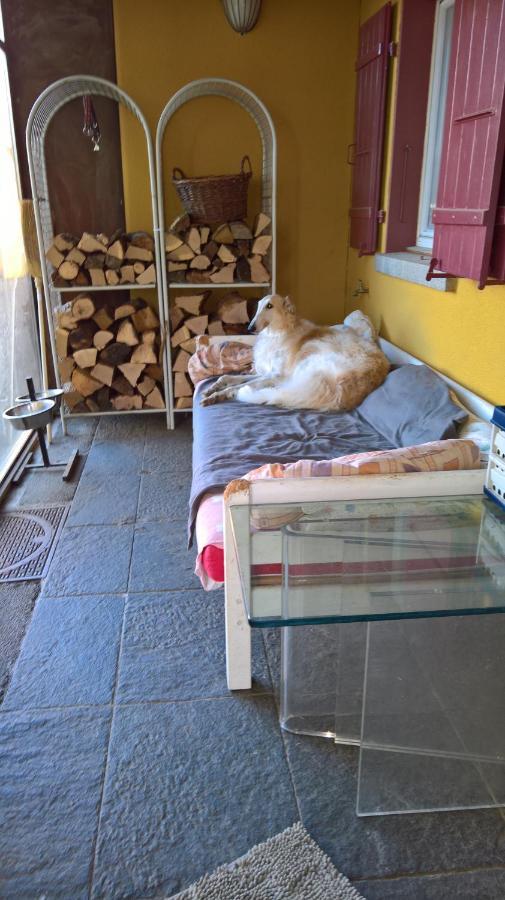 Swiss Borzoi House Panzió Vully-les-Lacs Kültér fotó