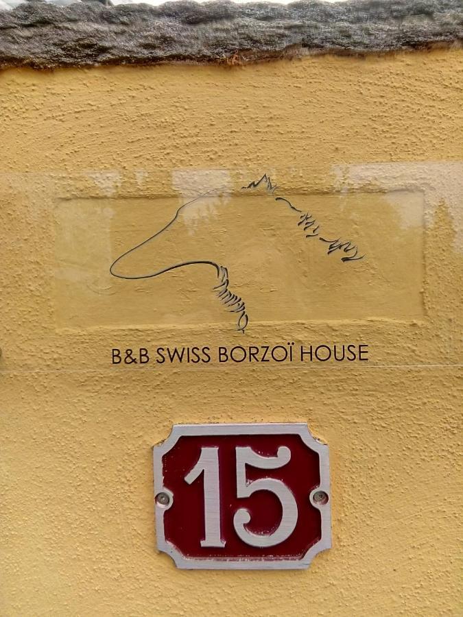 Swiss Borzoi House Panzió Vully-les-Lacs Kültér fotó