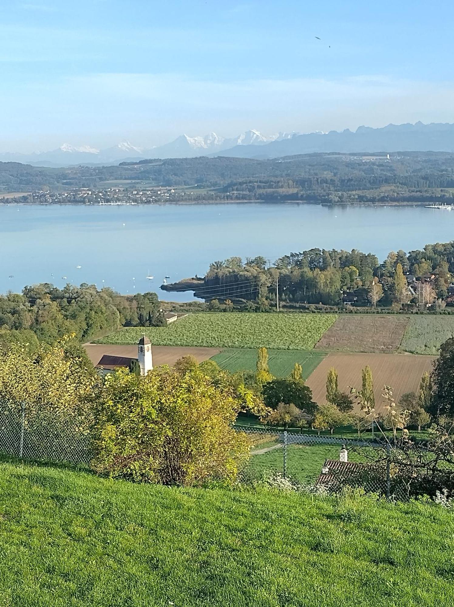 Swiss Borzoi House Panzió Vully-les-Lacs Kültér fotó