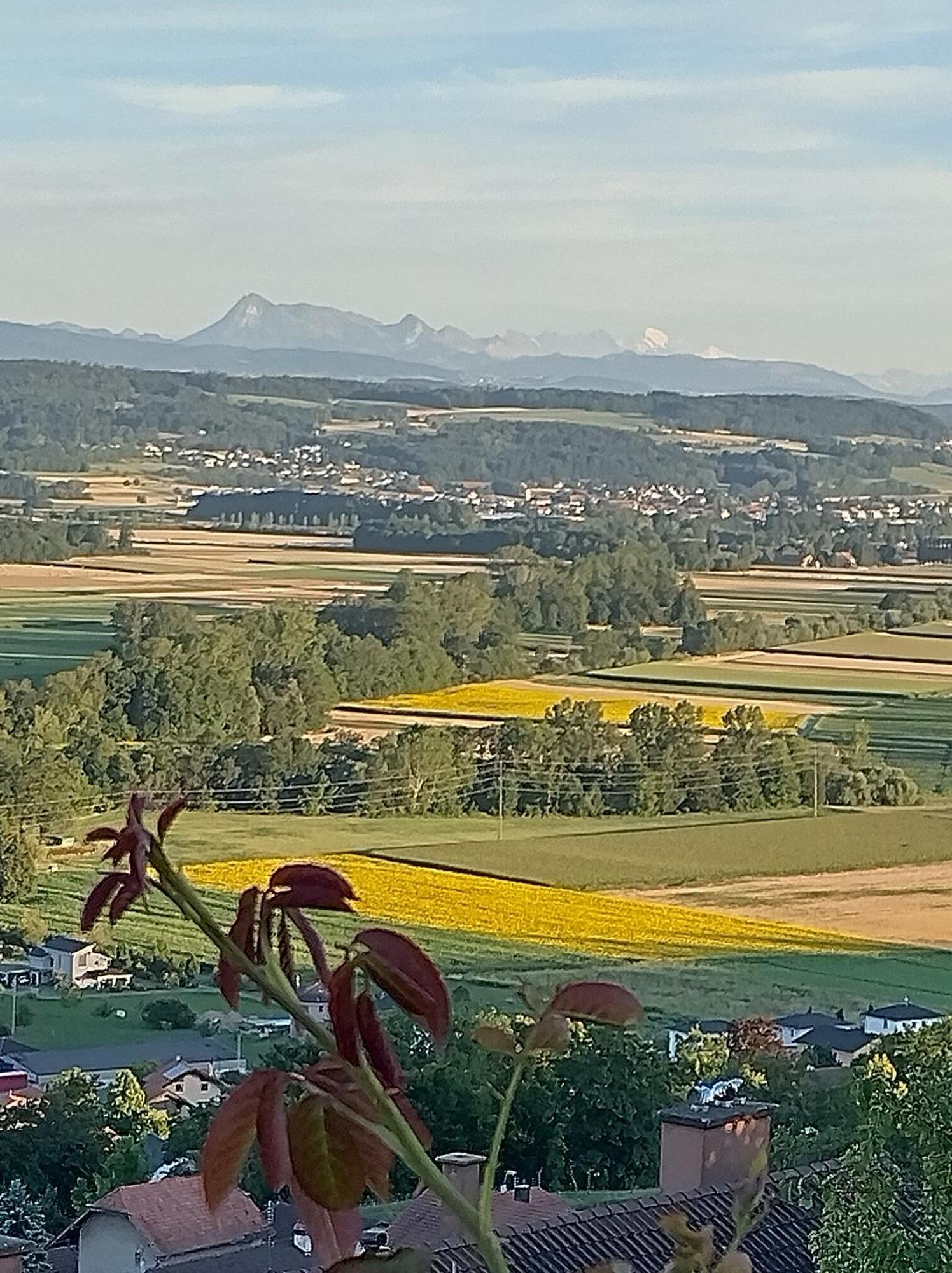 Swiss Borzoi House Panzió Vully-les-Lacs Kültér fotó