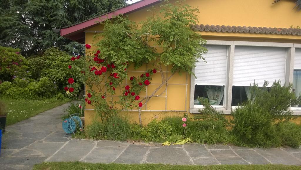 Swiss Borzoi House Panzió Vully-les-Lacs Kültér fotó