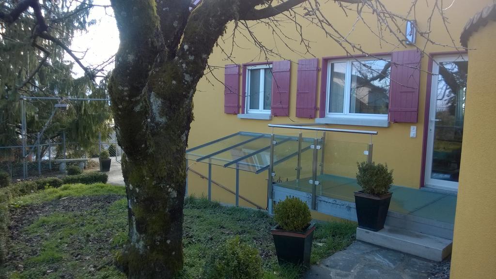 Swiss Borzoi House Panzió Vully-les-Lacs Kültér fotó