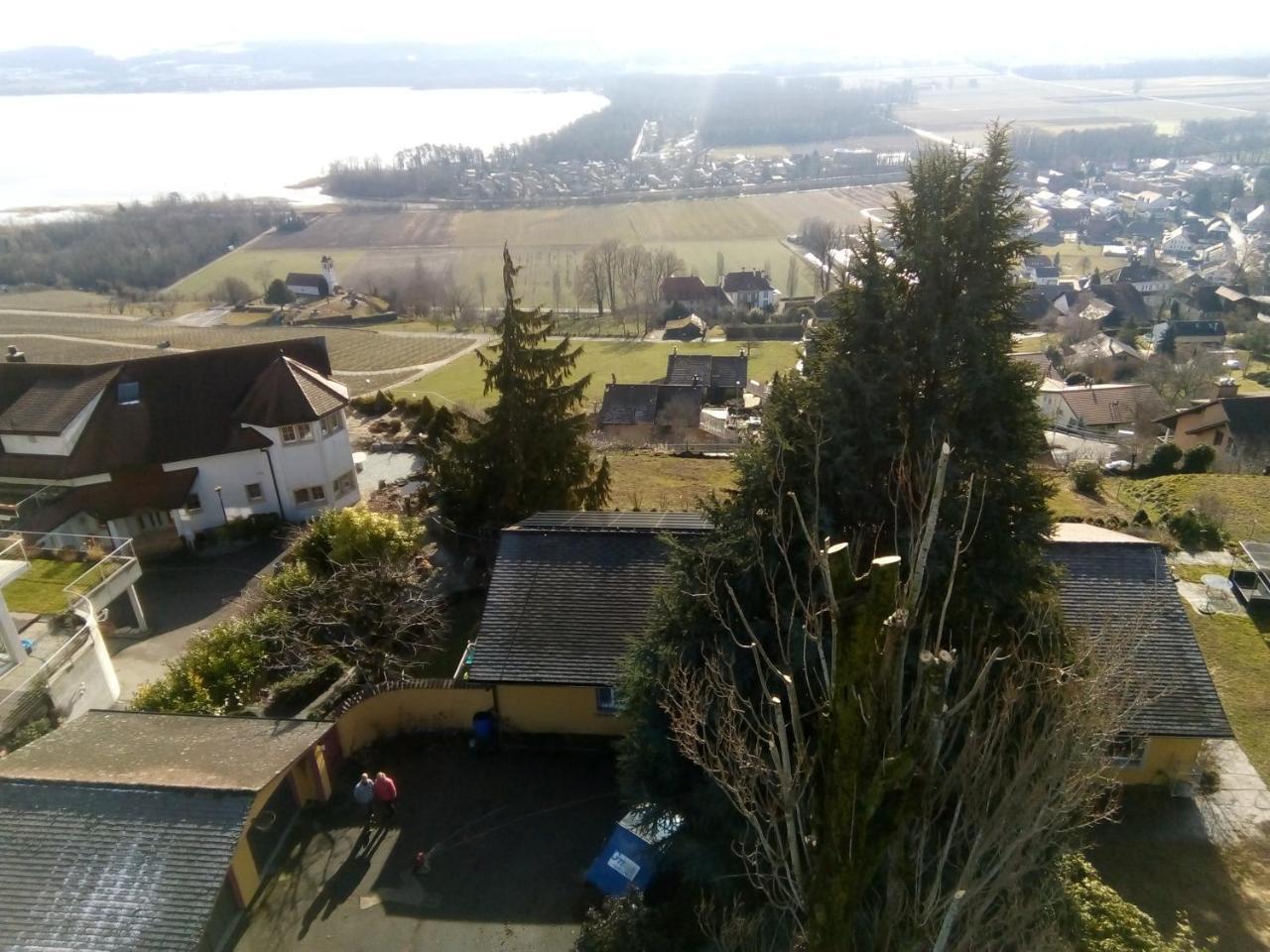 Swiss Borzoi House Panzió Vully-les-Lacs Kültér fotó
